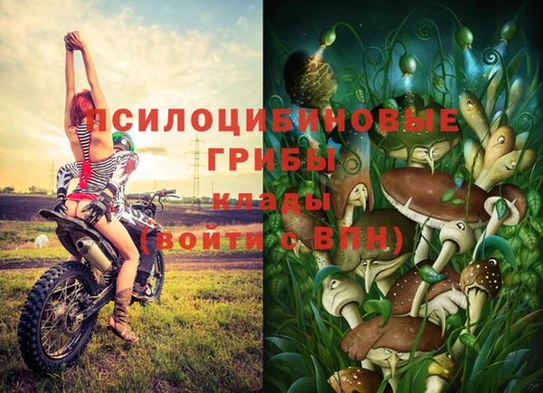 COCAINE Краснотурьинск