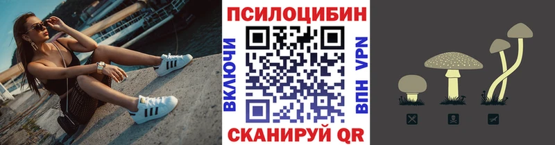 Псилоцибиновые грибы Psilocybine cubensis  блэк спрут маркетплейс  Черемхово 