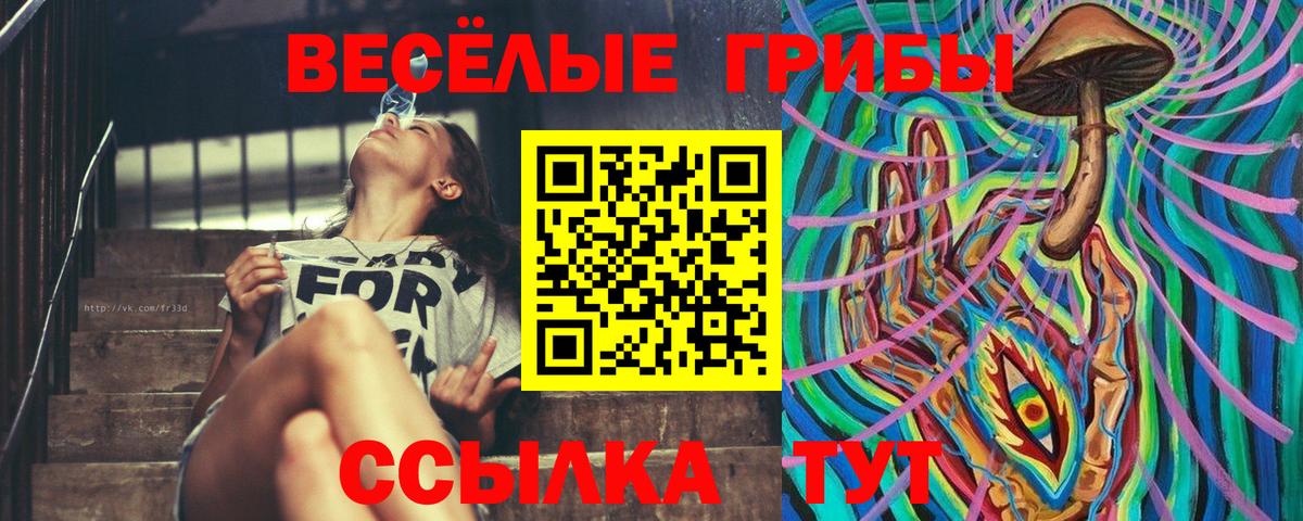 Псилоцибиновые грибы ЛСД  Вход с VPN  Псилоцибиновые грибы Magic Shrooms  Черемхово 