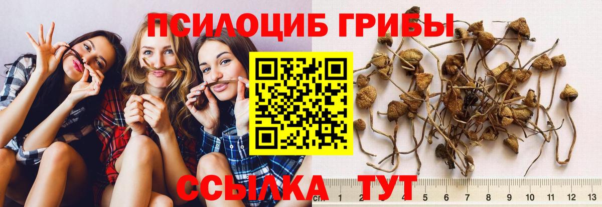 Галлюциногенные грибы мицелий Черемхово